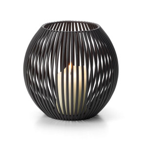 Latarenka Luisiana L Philippi