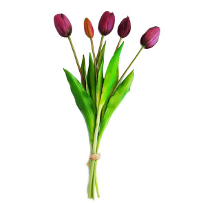 Bukiet (5 kwiatów) różowe tulipany Premium Home 
