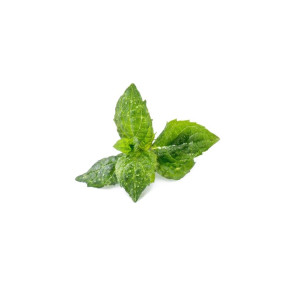 Wkład nasienny Lingot (pomidor koktajlowy) Veritable