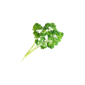 Wkład nasienny Lingot (szczypiorek) Veritable 