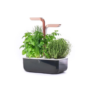 Doniczka do uprawy roślin (czarna) Smart Veritable