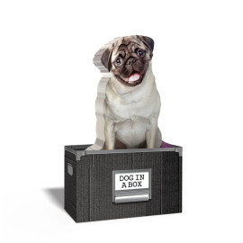 Karteczki samoprzylepne Dog in a Box Mustard