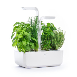 Inteligentna doniczka Classic Veritable