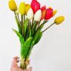 Bukiet (5 kwiatów) żółte tulipany Premium Home