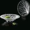 Misa na owoce ze szklanym wkładem (transparentna) Flora Bugatti 